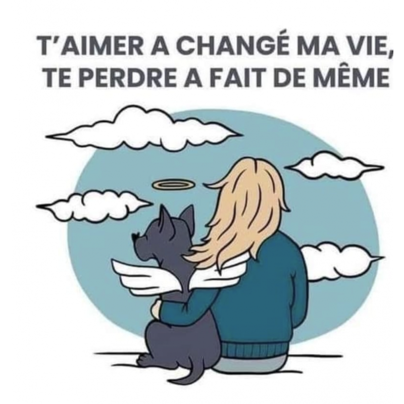 Création de bijoux en crin de cheval et poils d'animaux de compagnie, Qualité ACIER et ARGENT