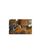 Bracelet en crin tressage plat et fermoir Acier