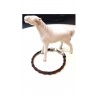 Création de bijoux en crin de cheval et poils d'animaux