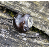 Perle de crin style Pandora en forme de coeur