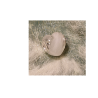 Perle de crin style Pandora en forme de coeur