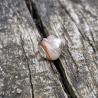 Perle de crin style Pandora en forme de coeur