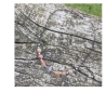 Création de bijoux en crins de chevaux et poils d'animaux